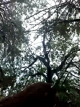 Labellasex online show from 12-20-25, 07:10