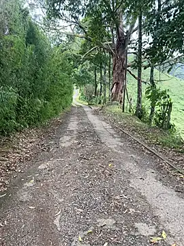 motomotoboy online show from 03-05-26, 06:48