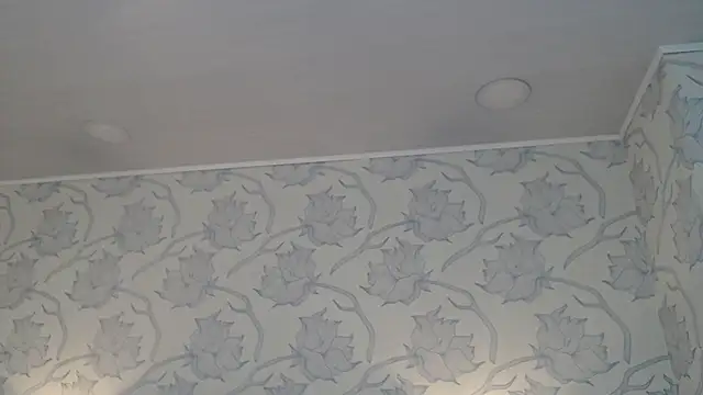 Rachellparker  online show from 12-05-25, 11:19