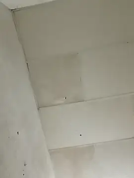 chikis12  online show from 11-22-25, 08:52