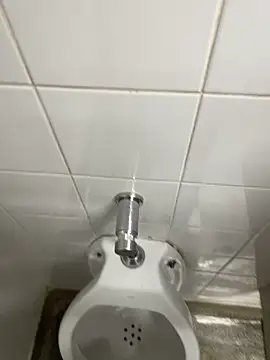 Snapshot of novinhosglbi chatting on 11-04-25, 12:21 novinhosglbi online show from 11-04-25, 12:21