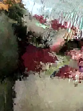 sexy 6hvhhh online show from 10-26-25, 12:44