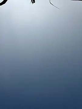 Menu x online show from 01-13-26, 08:08