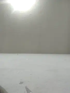 Chicattoo69 online show from 12-02-25, 01:55