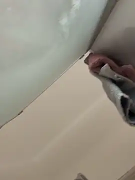 gatitalocahot online show from 12-17-25, 08:04