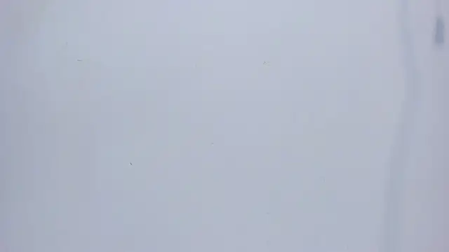 mirandaduboiss online show from 04-13-26, 05:07