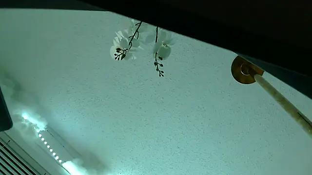 playxrated online show from 04-10-26, 08:19