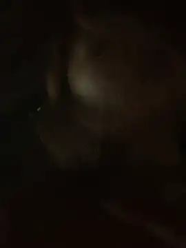 Snapshot of Lara-11 chatting on 02-14-26, 06:43 Lara-11 online show from 02-14-26, 06:43