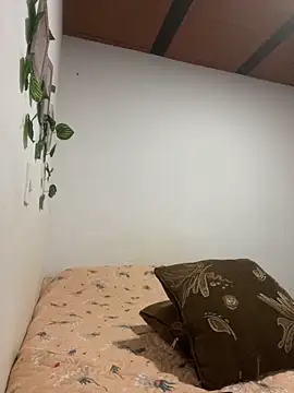 Evelinmiller97 online show from 01-14-26, 01:11