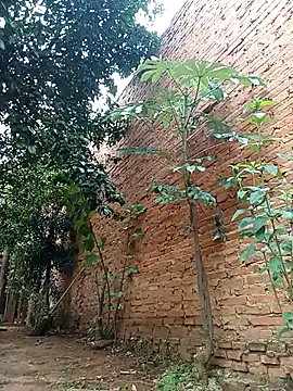 Snapshot of Jorgebenitez_1 chatting on 10-28-25, 02:20 Jorgebenitez 1 online show from 10-28-25, 02:20