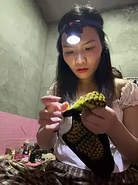 Yunzang online show from 02-28-26, 01:01