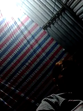 bella-la online show from 02-04-26, 11:49