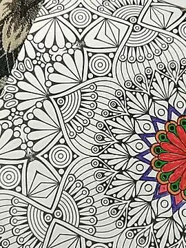 bigtelugubhama online show from 11-15-25, 04:25