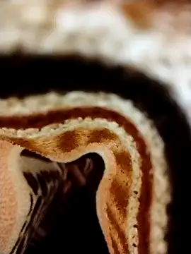 Snapshot of Nightrider1203 chatting on 11-08-25, 05:12 Nightrider1203 online show from 11-08-25, 05:12