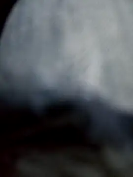 Snapshot of negro2828 chatting on 10-27-25, 10:58 negro2828 online show from 10-27-25, 10:58