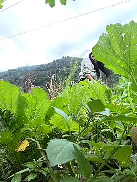 heodat-sexx online show from 12-17-25, 09:48