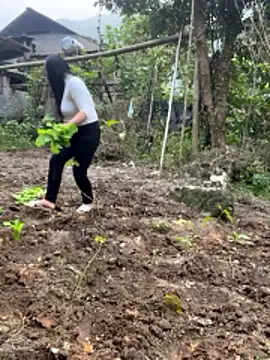 heodat-sexx online show from 12-20-25, 09:38