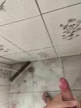 secretnovin7 online show from 04-04-26, 05:43