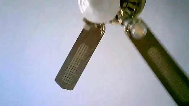 Sylviastar46 online show from 11-11-25, 02:50