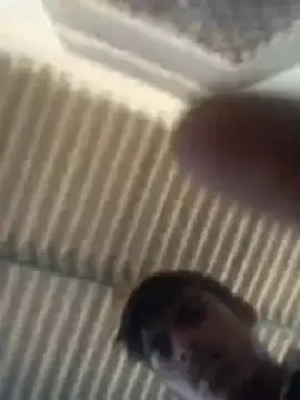 Pallu Asha online show from 03-02-26, 07:48