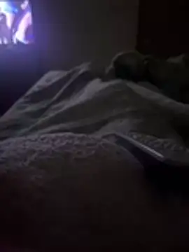 gatitaamelosaa7 online show from 02-24-26, 02:53