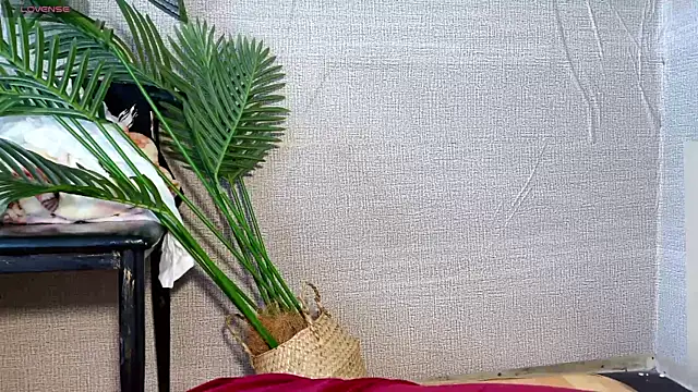 0xiaosu0 online show from 12-20-25, 03:24