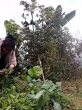 Alice-567 online show from 01-11-26, 09:25