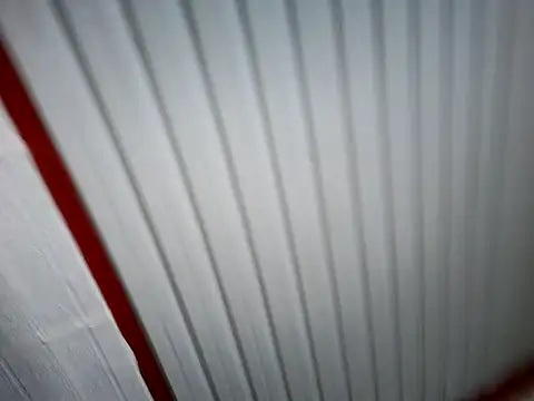 xwildflowerx online show from 03-03-26, 09:21