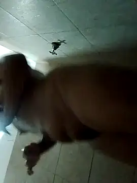 rebelde502 online show from 11-12-25, 05:41