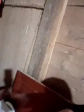 Bee-bgolden online show from 11-12-25, 04:07