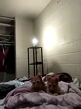 Snapshot of SITHANDRAH chatting on 12-02-25, 11:45 SITHANDRAH online show from 12-02-25, 11:45