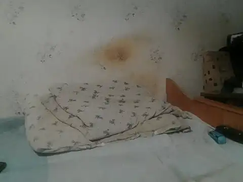 Kreol69 online show from 11-19-25, 04:51