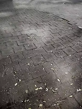 Javierba18301bak online show from 01-09-26, 09:23