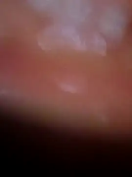 Nisha Hindi online show from 11-25-25, 07:08