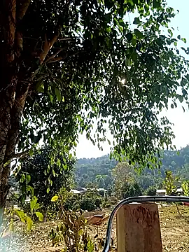 -Chua-90 online show from 02-20-26, 08:05