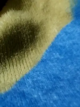 Snapshot of GG23MVP chatting on 11-30-25, 05:22 GG23MVP online show from 11-30-25, 05:22