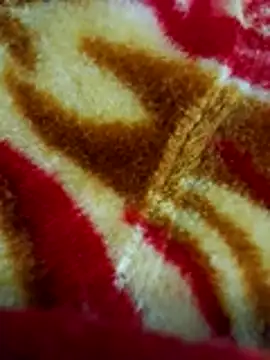 sangeeta lodhi online show from 11-28-25, 06:10