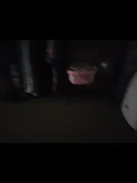 piggylatino online show from 12-15-25, 08:07