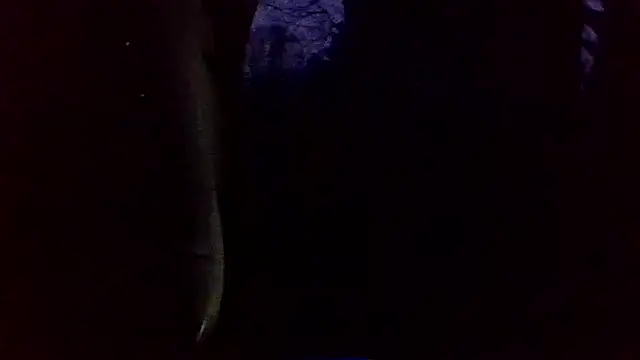 dickencidr online show from 03-19-26, 12:14