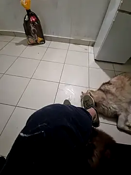 RITAEGIH online show from 03-02-26, 08:04