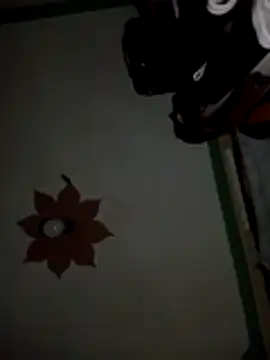 honeypot224 online show from 03-15-26, 03:56