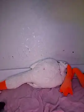 carolinakis  online show from 02-20-26, 07:36