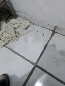 Paugostoso270515 online show from 04-10-26, 03:17