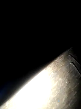 mortty 10 online show from 11-26-25, 05:19