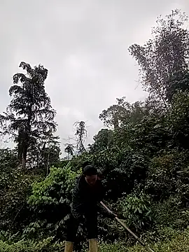 meomeo-00 online show from 03-18-26, 08:06