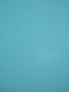 Snapshot of braidqueen00 chatting on 02-15-26, 12:18 braidqueen00 online show from 02-15-26, 12:18