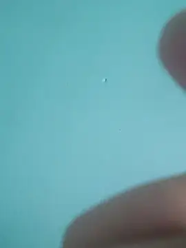 Snapshot of braidqueen00 chatting on 02-19-26, 07:54 braidqueen00 online show from 02-19-26, 07:54