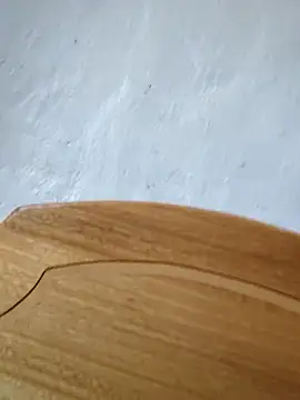 Snapshot of braidqueen00 chatting on 02-22-26, 05:00 braidqueen00 online show from 02-22-26, 05:00