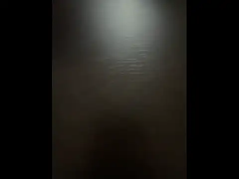 Snapshot of Pineapple chatting on 11-19-25, 04:40 Pineapple online show from 11-19-25, 04:40