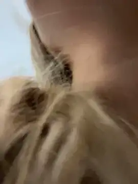 Chloe GraceeX online show from 02-02-26, 08:40